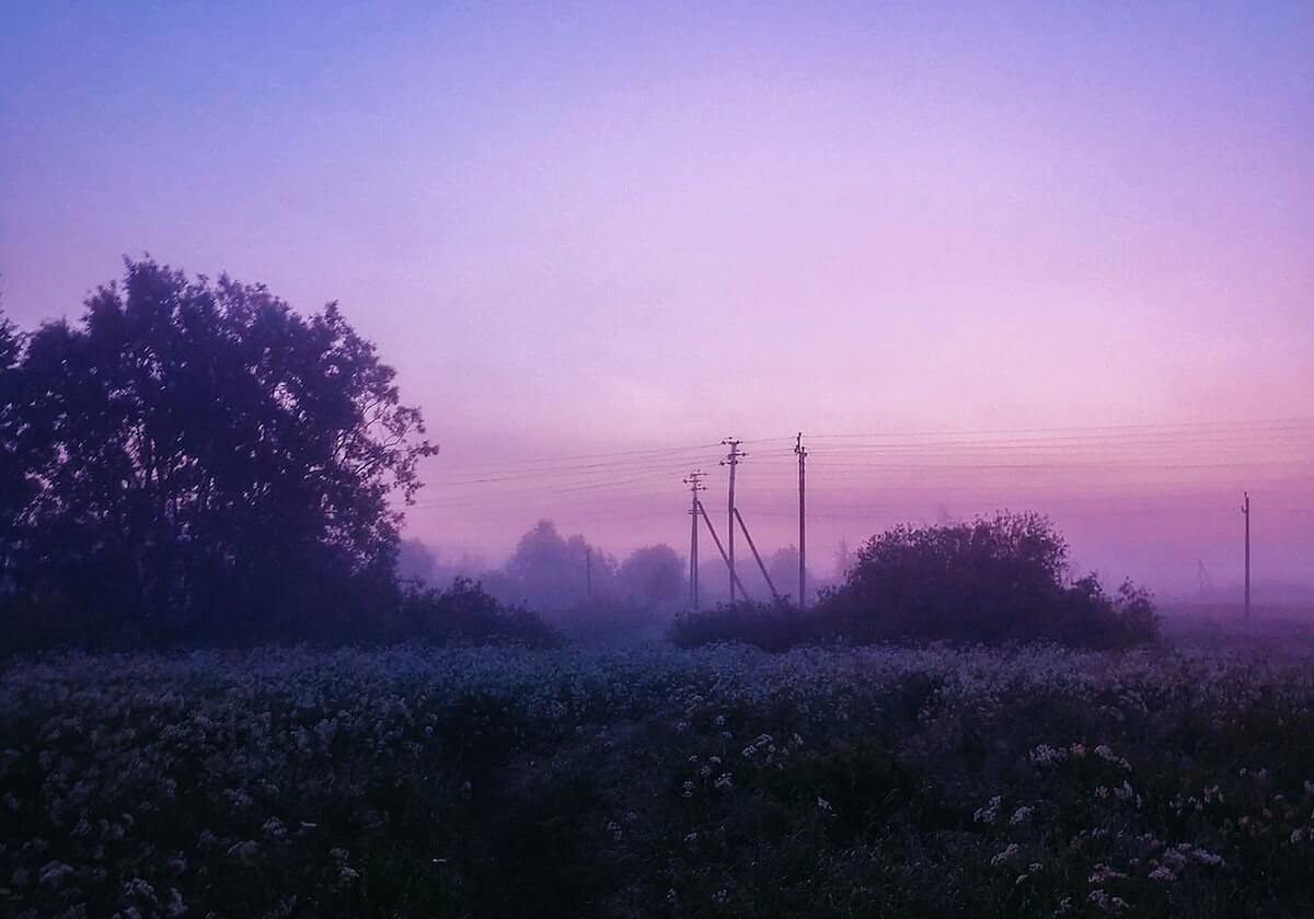 登录入口-台湾网红“馆长”被起诉 国台办回应
